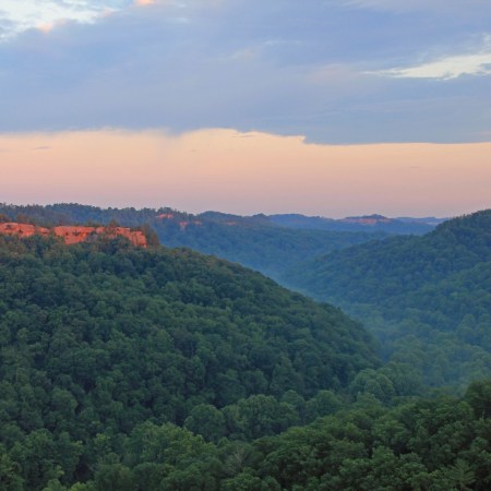 "View from Chimney Top Rock at Red River Gorge" by Anthony is licensed under CC BY-ND 2.0